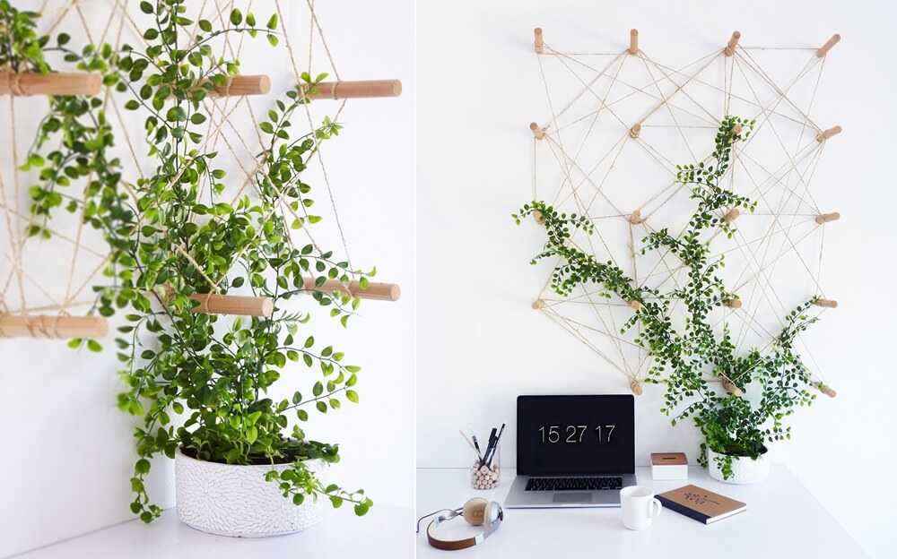 Lợi ích khi trang trí cây xanh trong nhà