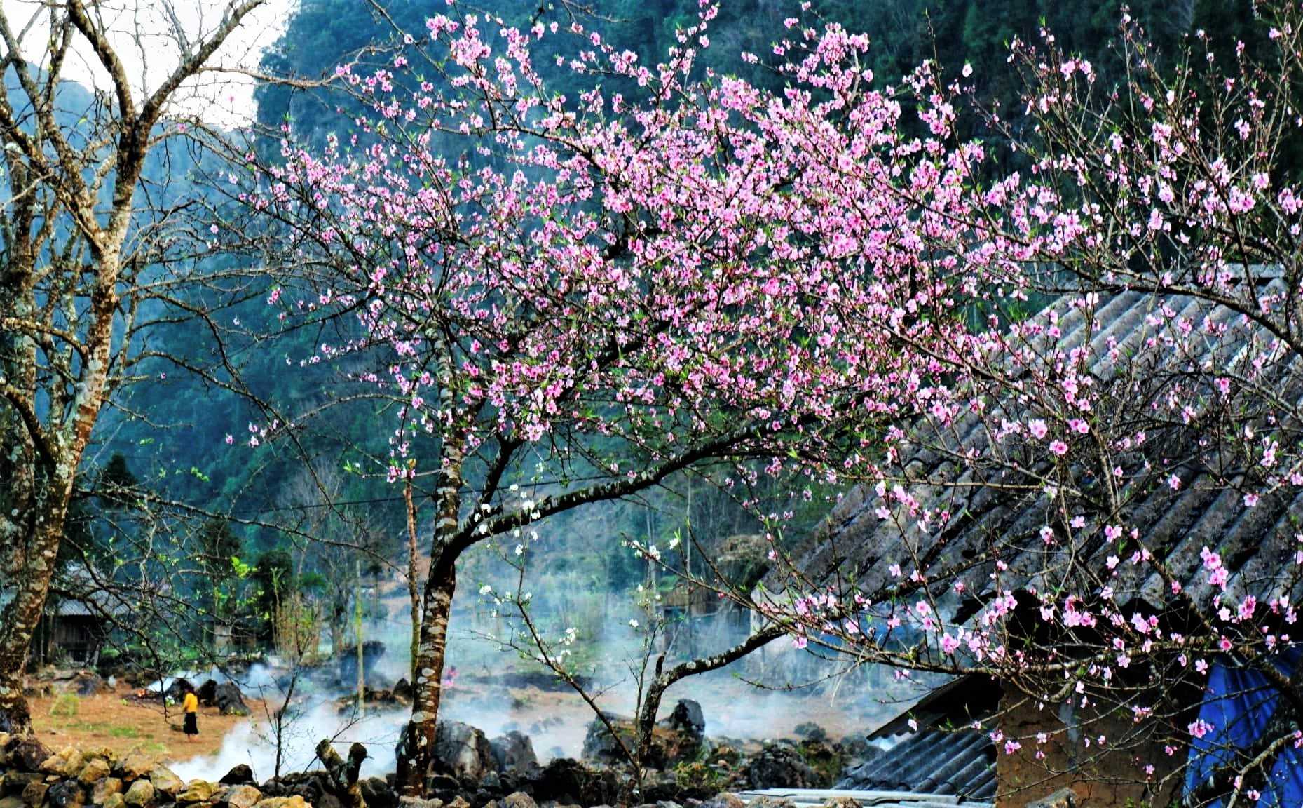 Khởi đầu năm mới trọn vẹn với 10 điểm du xuân nổi bật ở miền Bắc