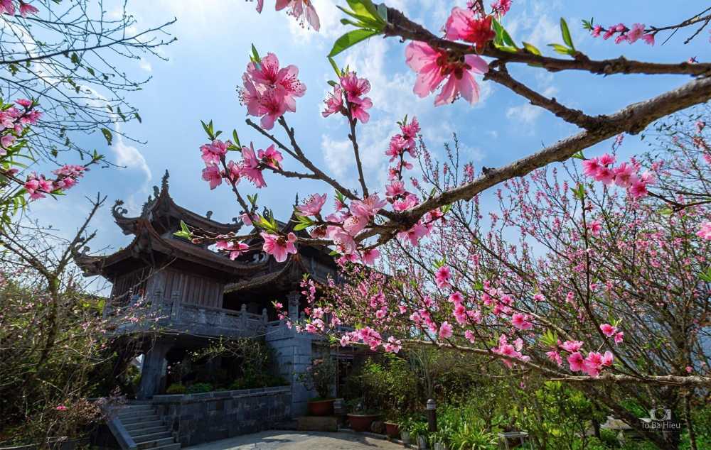 Những lý do nên đến Fansipan trong mùa du lịch đầu năm