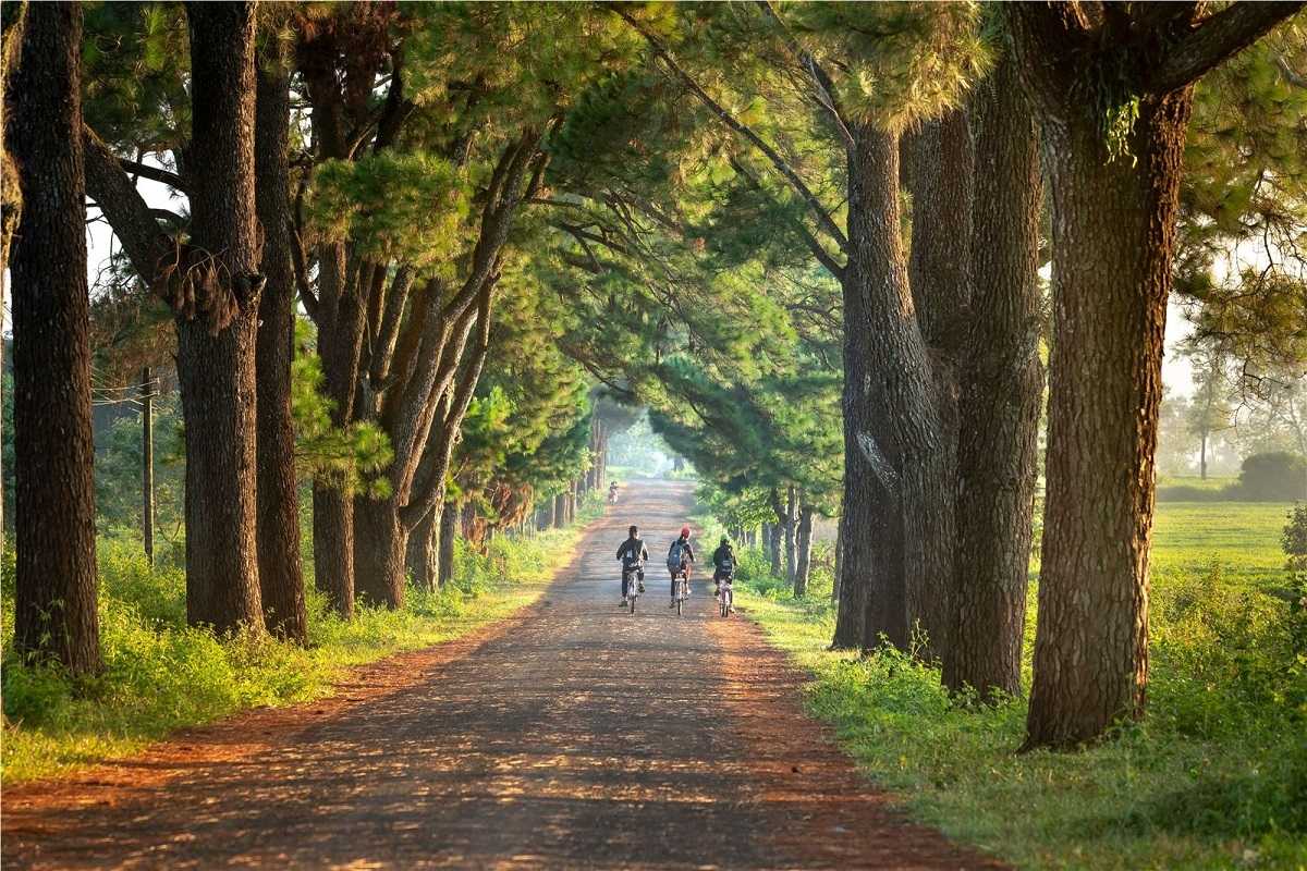 Gia Lai: Sẵn sàng cho Lễ khai mạc Năm Du lịch quốc gia 2026