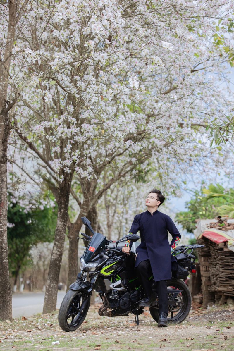 Hoa ban nở trắng núi rừng Điện Biên